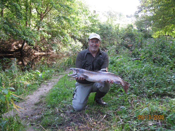 Min store laks fra Stensn (pensionisthullet) i september 2008 p 5,55 kg og 88 cm