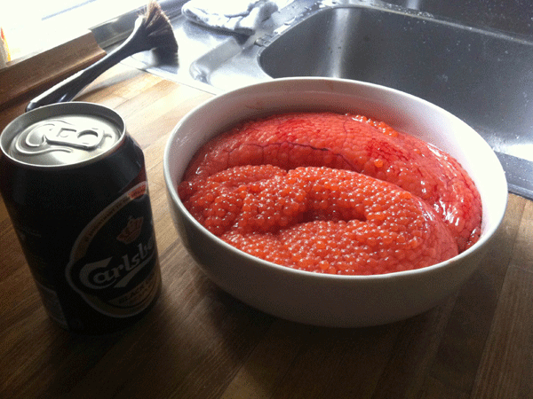 1 kg (kaviar) rogn fra hunnen - en delikatesse med med rdlg og creme fraiche