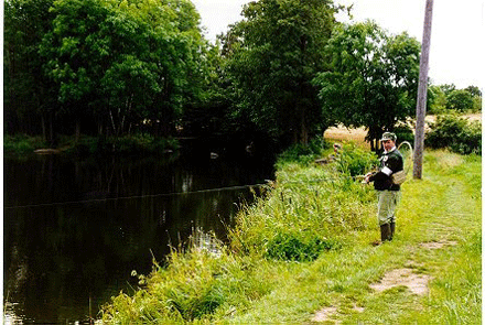 Jørgen spin fishing in Mörrums River