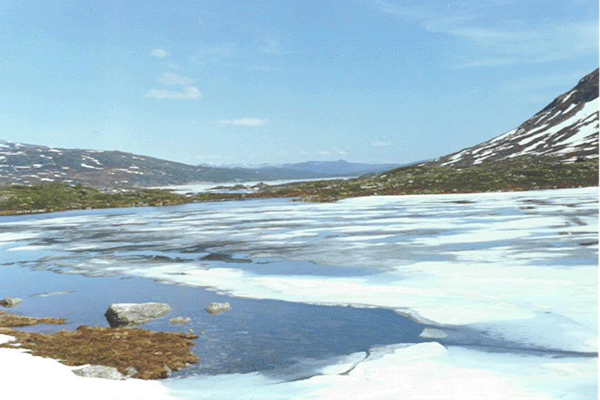 Elven springs from a high lake. Here frozen in June