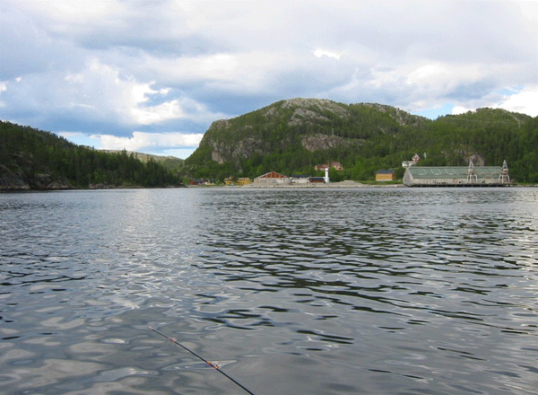 The river mouths into the fjord. There are lots of saithe, cod and ling