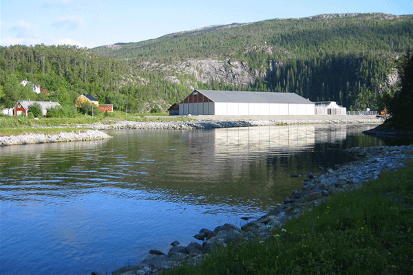 The estuary of the river in the fjord for the piece of salmon