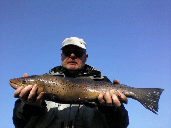Dan with a sea trout of 2.9 kg and 72 cm