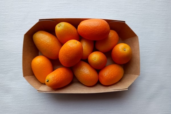 Disse store, flotte Kumquat fandt jeg i Meny - 1 bakke 150 g, 30,00 kr.