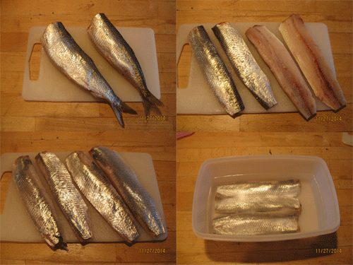 White old-fashioned marinated herring