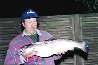 6 kg silvery sea trout from Køge Bay