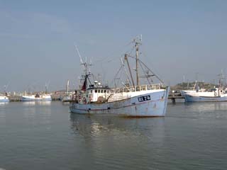 Fishing port of Hvide Sande