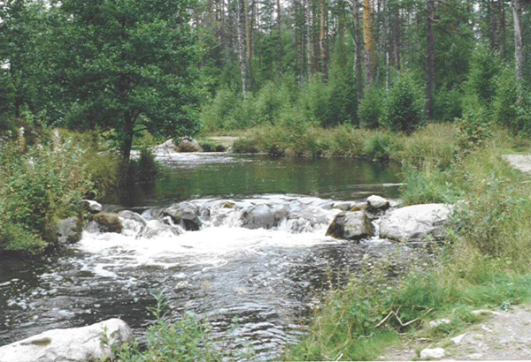 One of many small waterfalls