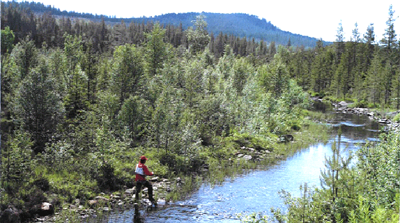 Svgan lv seen from the bridge