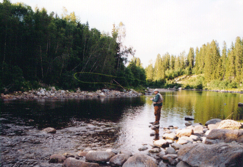 Fly fishing on the waterfall neck in Öyensåa