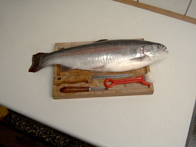 Freshly caught rainbow trout of 1.5 kg to be Gravad