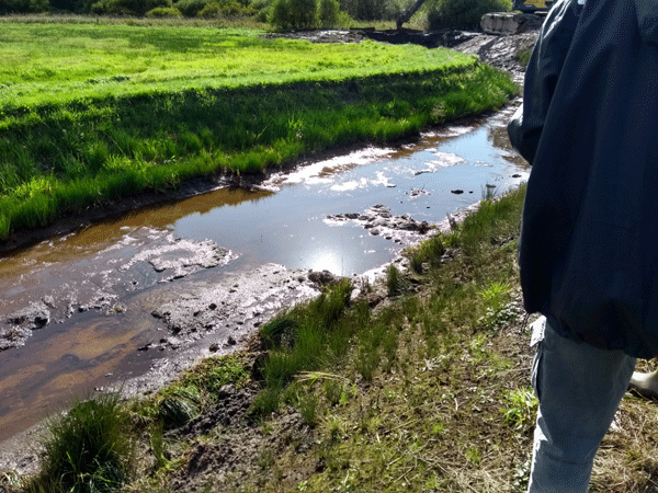 Opening of Holme Creek