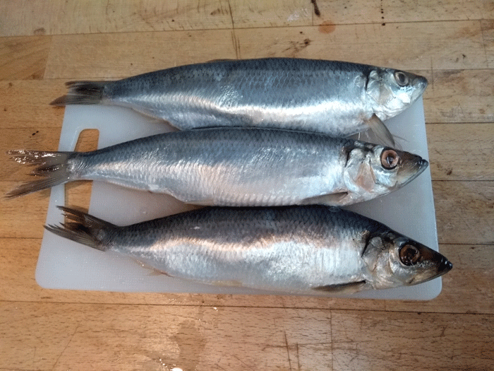 3 fatty peeled herring to be made for Homemade kippers in spice oil