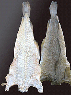 Norwegian rockfish and dried fish