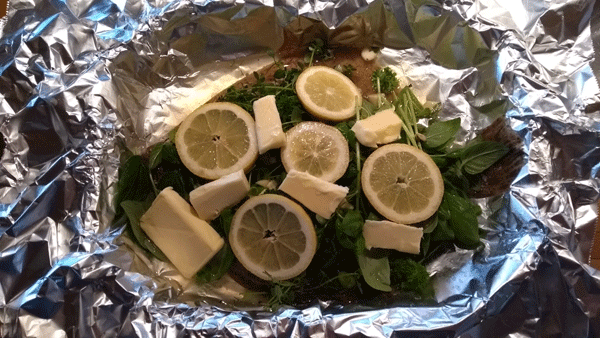 Turbot wrapped in tinfoil with herbs and pats of butter