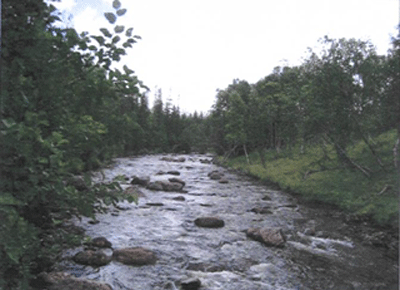 Uspoleret Usma River - indtil 2008